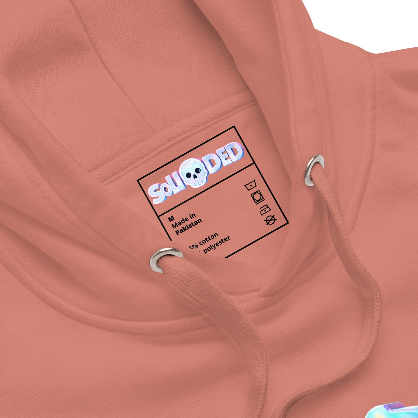 IRIDEDSENT (F)v2)